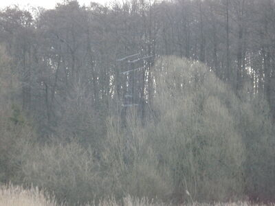 2015_03_18_Bad_Stuer_056.JPG
Empfangsantennenturm mit 3 gestockten UHF-Yagis , einer kleinen Band3-Yagi und einer UKW-Yagi. Da Bad Stur am Südufer des Plauer Sees im Tal lag, war ein beträchtlicher Antennenaufwand für das "Westfernsehen" nötig. I.d.R. waren diese Antennenmasten Gemeninschaftsanlagen
Schlüsselwörter: Antennenmast DDR Bad Stuer Yagi UHF gestockt