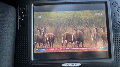 2020_11_08_PCH1_006.JPG
TVP 3 Szczeczin, TP Emitel Mux-3 Szczecin, SFN Szczecin/Miezdyzdroje, K48
Schlüsselwörter: TV Tropo Überreichweite DTT DVB-T MPEG4 Polen Polska TP EmiTel Mux3 TVP TVP3 Szczecin Miezdyzdroje Kolowo K48 FTA