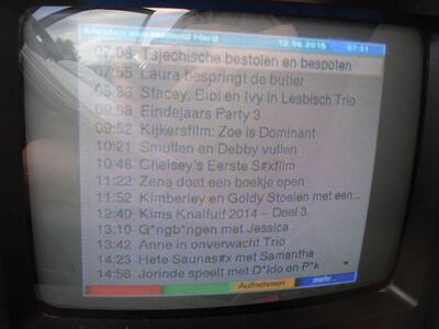 2015_06_12_PCH2_013.JPG
Der EPG von "Maiden van Holland Hard", Digitenne 4 (NTS 3), Leeuwarden (Ceresweg), K21 (1). Dieses Programm ist warscheinlich nicht jugendfrei ...
Schlüsselwörter: TV DX Tropo Überreichweite DVB-T DTT digital UHF Niederlande Nederland Digitenne4 NTS3 ID EPG Leeuwarden K21 verschlüsselt encrypted Maiden van Holland Hard EPG