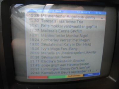 2015_06_12_PCH2_014.JPG
Der EPG von "Maiden van Holland Hard", Digitenne 4 (NTS 3), Leeuwarden (Ceresweg), K21 (2). Dieses Programm ist warscheinlich nicht jugendfrei ...
Schlüsselwörter: TV DX Tropo Überreichweite DVB-T DTT digital UHF Niederlande Nederland Digitenne4 NTS3 ID EPG Leeuwarden K21 verschlüsselt encrypted Maiden van Holland Hard EPG