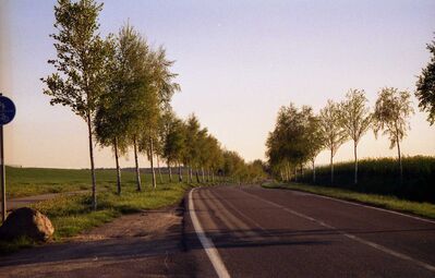 2006_05_09_HWI1_005.jpg
Blick in Richtung Südwest
Schlüsselwörter: DX Standort Boiensdorf