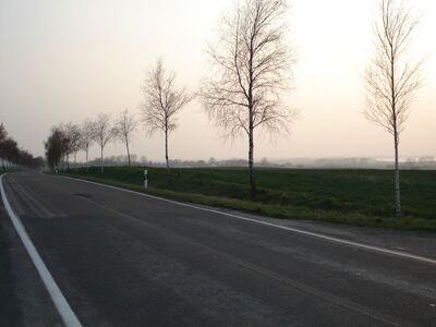 2009_04_07_HWI1_003.JPG
Blick in Richtung Südwest
Schlüsselwörter: DX Standort Boiensdorf