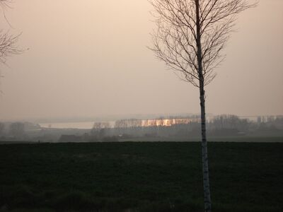 2009_04_07_HWI1_004.JPG
Blick in Richtung West. Am Horizont sieht man die Insel Poel
Schlüsselwörter: DX Standort Boiensdorf freie Sicht