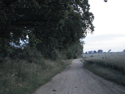 2009_06_17_HWI2_004.JPG
Blick Richtung Nordwest. Stockelsdorf kommt noch am Feldrain vorbei, die übrigen Standorte der Hamburg-Lübecker Gleichwellen sind dagegen abgeschirmt.
Schlüsselwörter: Wismar West DX Standort