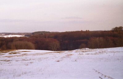 2006_03_21_PCH1_005.jpg
März 2006: Blick Richtung Ost-Südost
Schlüsselwörter: DX Standort Ruhner Berge