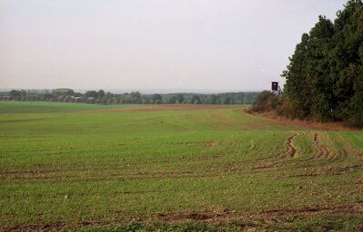 1997 10 06 PCH3 006
Oktober 1997: Blick Richtung Nordwest, einige Schritte neben dem DX-Platz
Schlüsselwörter: DX Standort Ruhner Berge