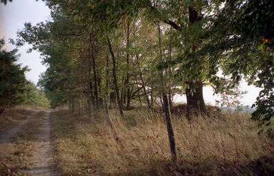 1997 10 06 PCH3 007
Oktober 1997: Blick Richtung Südost, einige Schritte neben dem DX-Platz
Schlüsselwörter: DX Standort Ruhner Berge